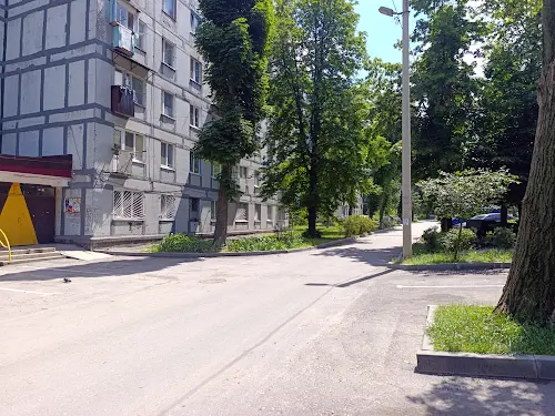 квартира за адресою Волинська вул., 7