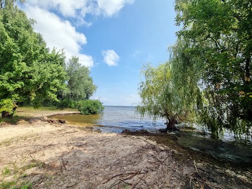 ділянка за адресою с. Глібівка, Лесі Українки, 1