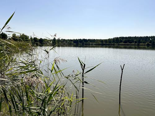 дом по адресу с. Крымок, Лісова