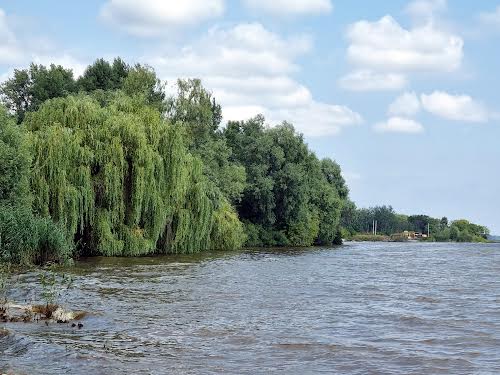 участок по адресу с. Глебовка, Лесі Українки, 1