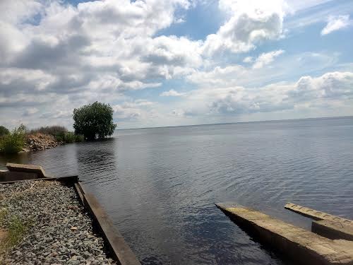 участок по адресу с. Толокунь, Леніна