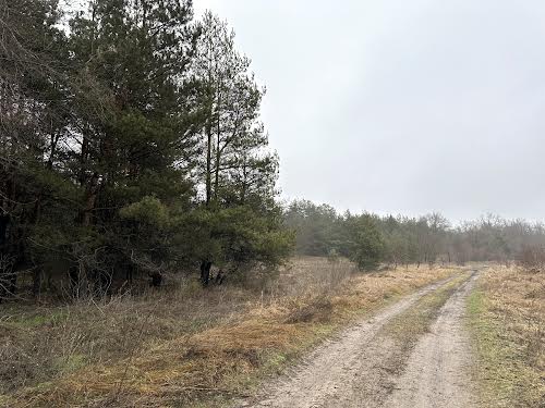 ділянка за адресою смт. Курилівка, Маяковського