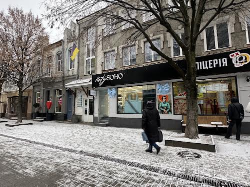 комерційна за адресою Лесі Українки вул., 9
