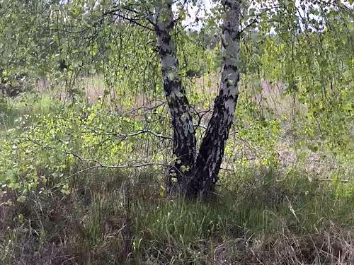 ділянка за адресою кленова, 9