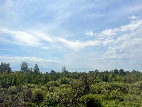 будинок за адресою Потічкова, 12