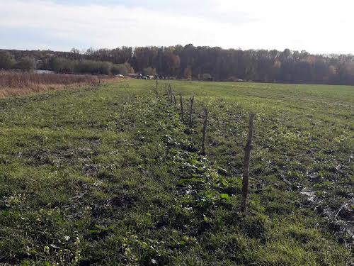 участок по адресу Хмельницкий, С. Карпівці