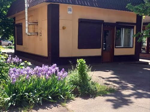 комерційна за адресою Космонавтів вул., 31
