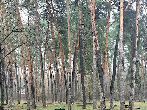 квартира по адресу Бориспольская ул., 45