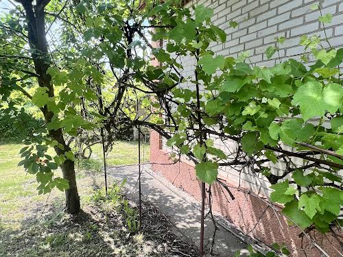 дом по адресу п. Петрик, Соснова, 20