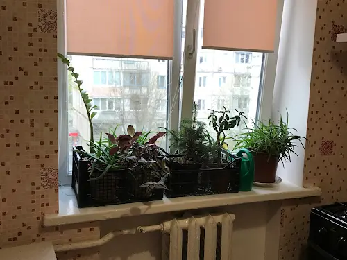 квартира за адресою Машинобудівна вул., 24