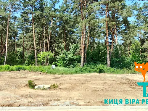 будинок за адресою Ярослава Мудрого, 25