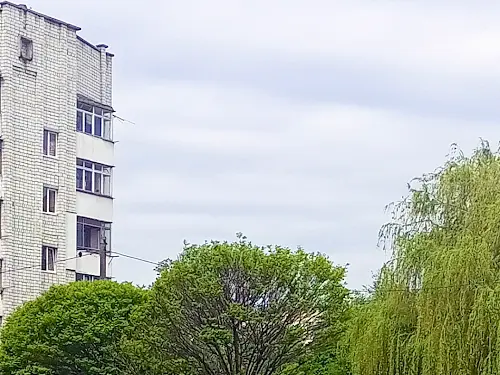 квартира за адресою Червоної Калини просп., 105