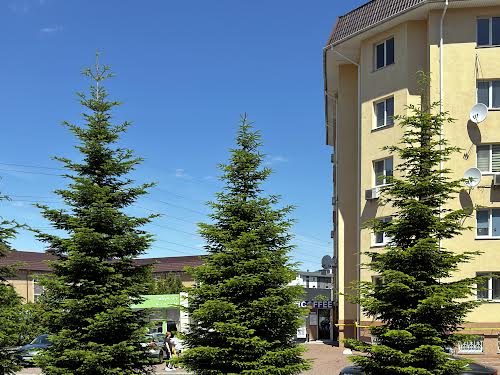 квартира по адресу Леси Украинки ул., 6