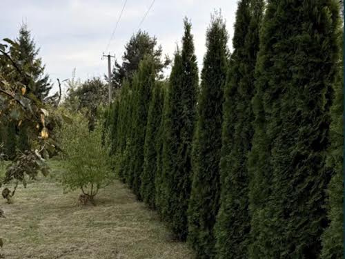 будинок за адресою Львівська