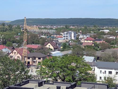 квартира за адресою Юліана Пелеша вул., 1