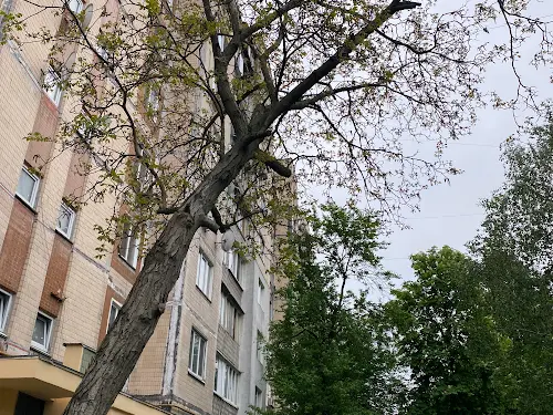 квартира за адресою Чистяківська вул., 7