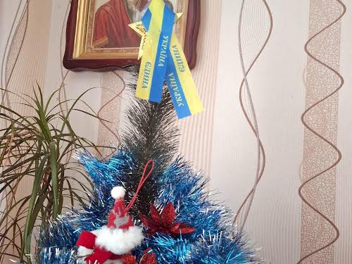 будинок за адресою Південна, 2