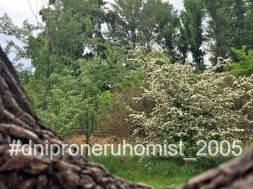 будинок за адресою Придніпровська, 113