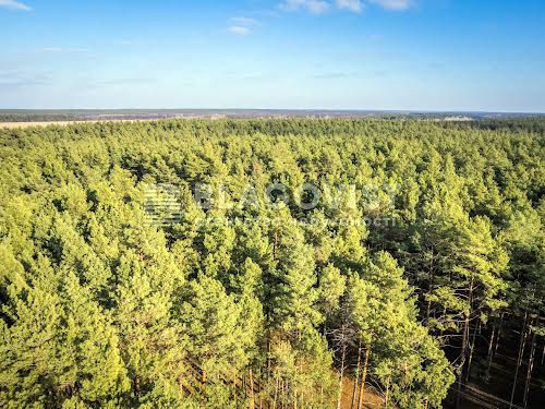 будинок за адресою с. Кийлів, Тараса Шевченка