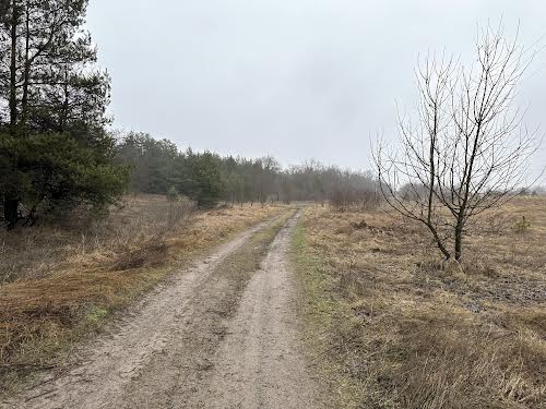 ділянка за адресою смт. Курилівка, Маяковського