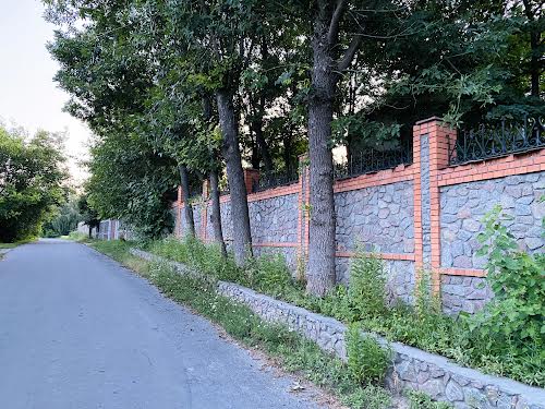 будинок за адресою с. Великі Дмитровичі, Київська