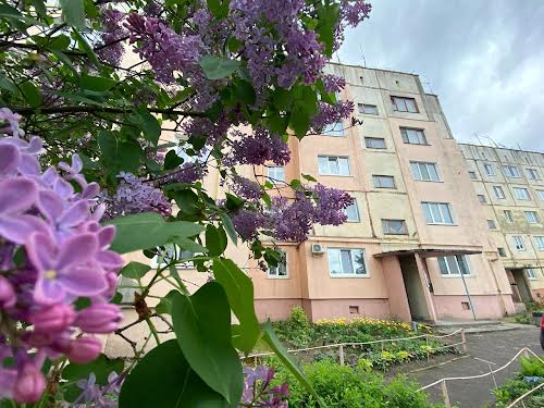 квартира по адресу Затишна ул., 2