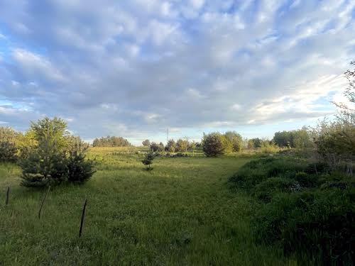 участок по адресу Игнатия Лукасевича ул., 1