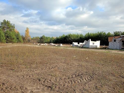 дом по адресу с. Старые петровцы, Лісова