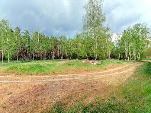 будинок за адресою Центральна, 1