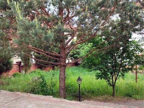 будинок за адресою Садова вул., 78