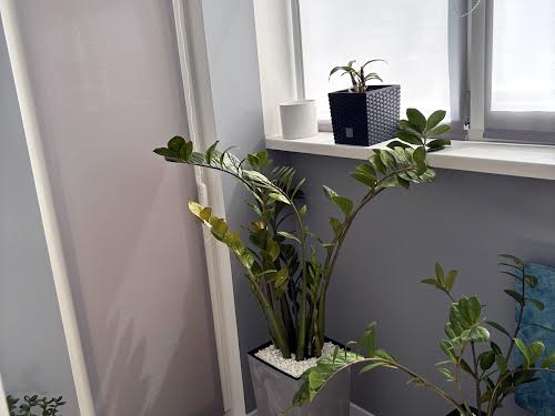 квартира за адресою Симиренка вул., 34а