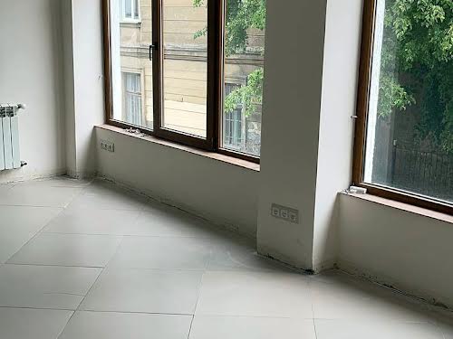 комерційна за адресою Скельна вул., 45