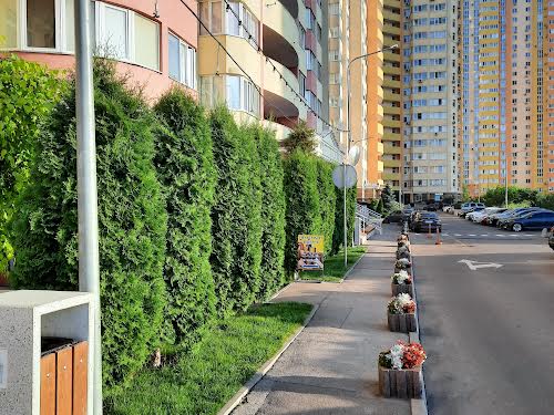 квартира за адресою Сім'ї Кульженків вул. (Петра Дегтяренка), 35