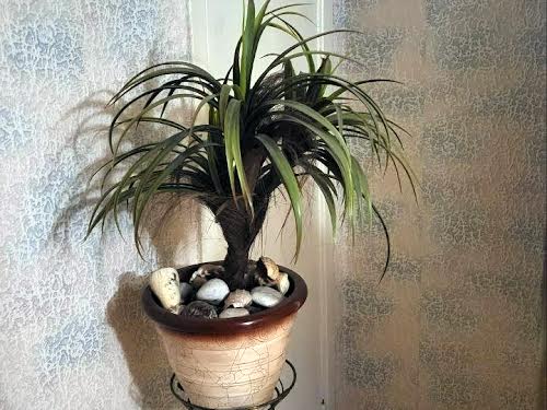квартира за адресою Робоча вул., 75