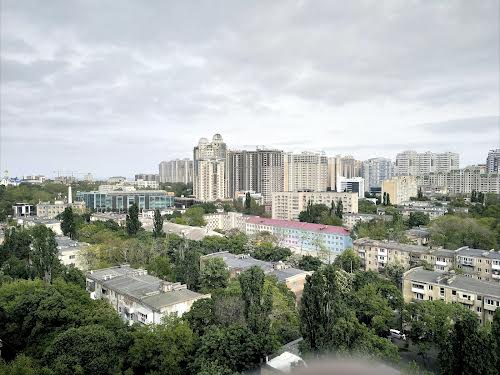 квартира по адресу Академическая ул. (Пионерская), 20б