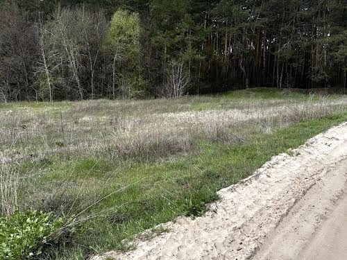будинок за адресою Лісна