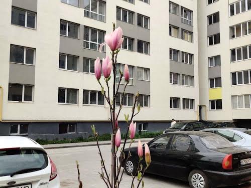 квартира за адресою Героїв Крут вул., 4а