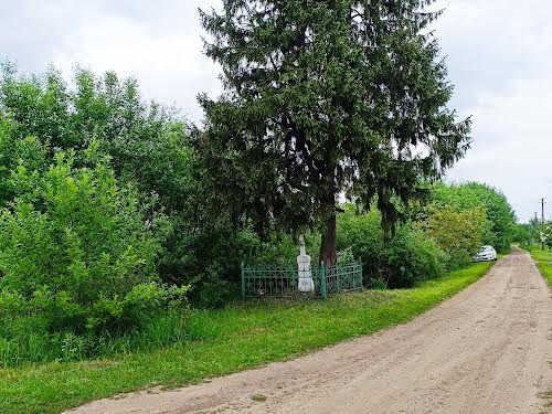 участок по адресу Центральна