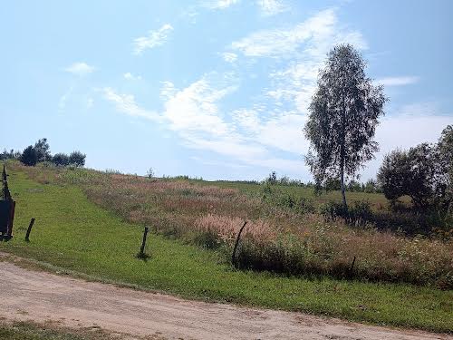 ділянка за адресою с. Великі Глібовичі, Бібрська, 20