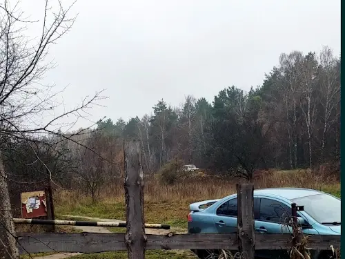 дом по адресу с. Равнополье, Рівнопілля