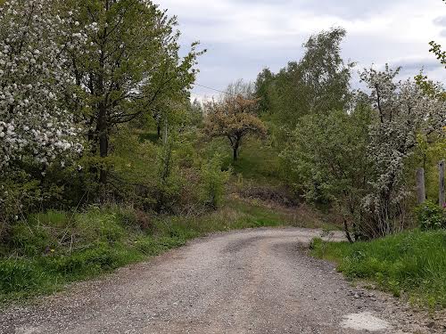 ділянка за адресою с. Іванковичі, Чубаря