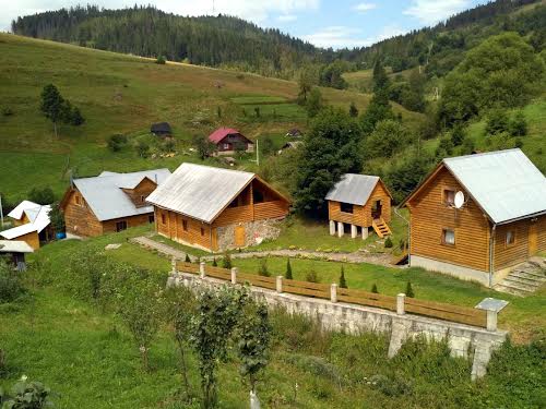 дом по адресу с. Орявчик, Під Тисою, 21