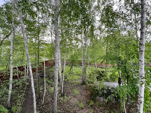 дом по адресу Калацюка, 4а