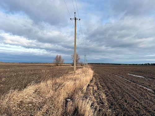 ділянка за адресою с. Михайлівка-Рубежівка, 