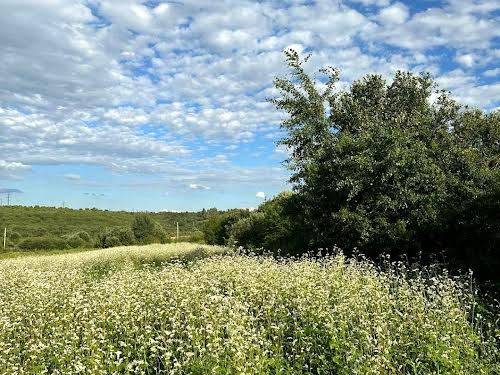 ділянка за адресою с. Малечковичі, Щаслива