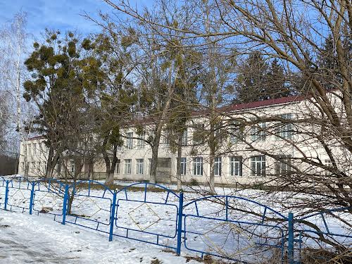 будинок за адресою Миколи Петровського вул., 59