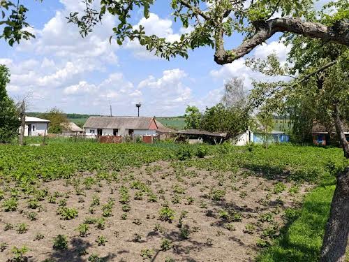 будинок за адресою Вороніна