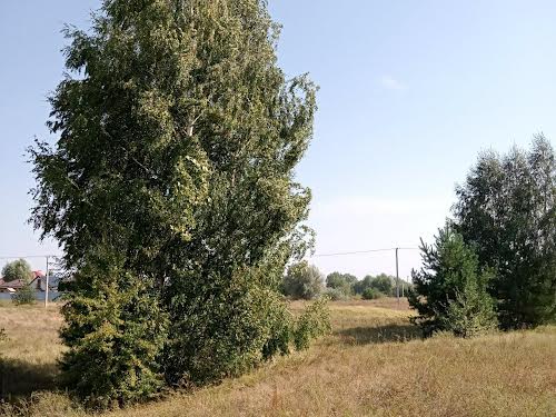 участок по адресу Проектна