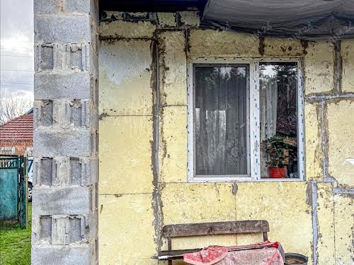 будинок за адресою Центральна, 1