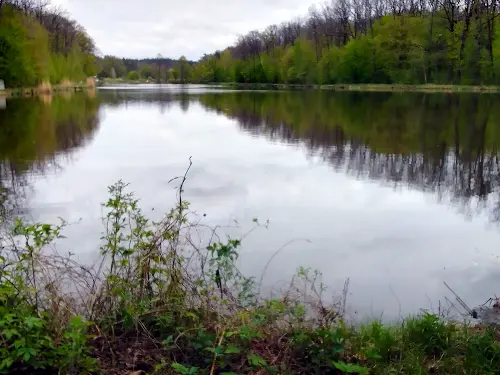 будинок за адресою с. Пороскотень, лісова, 14